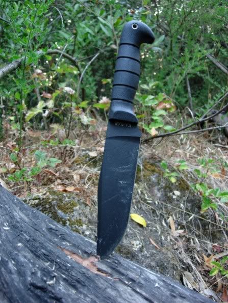 kabarinstump2.jpg