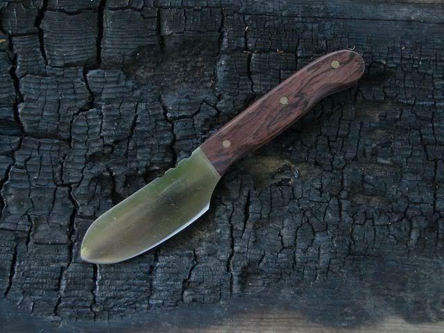 beaver1-2.jpg