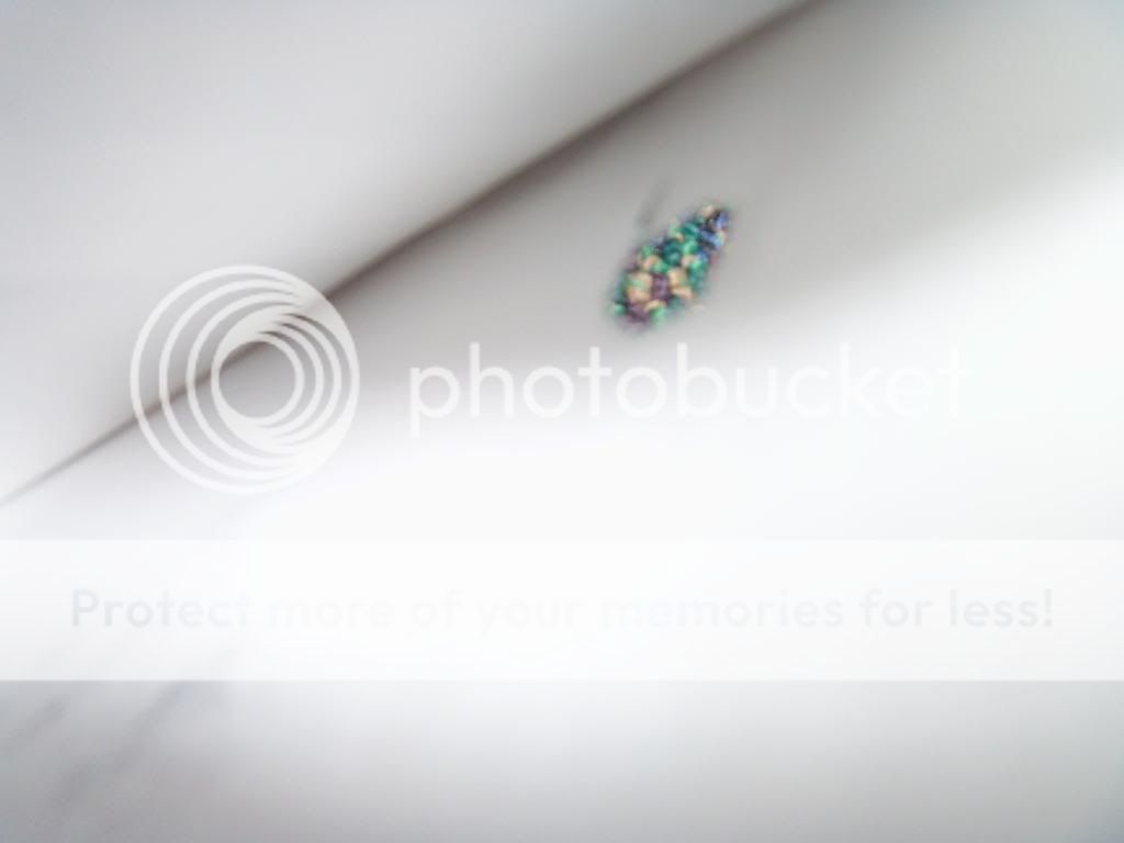 100_4150.jpg