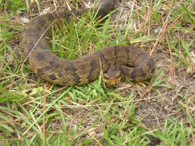 DSCN0447.jpg