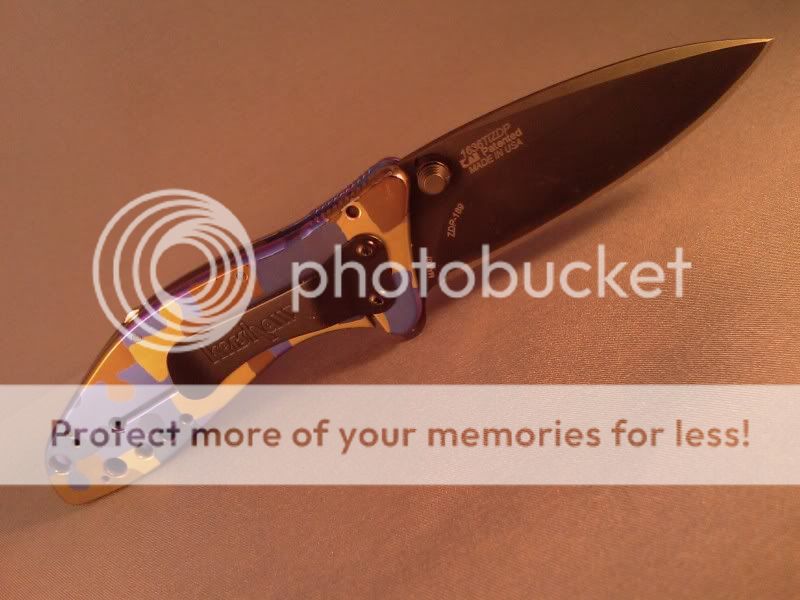 IMAG0485.jpg~original