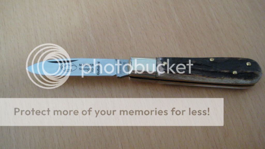 IMG_2017_zpsed7ec7dd.jpg
