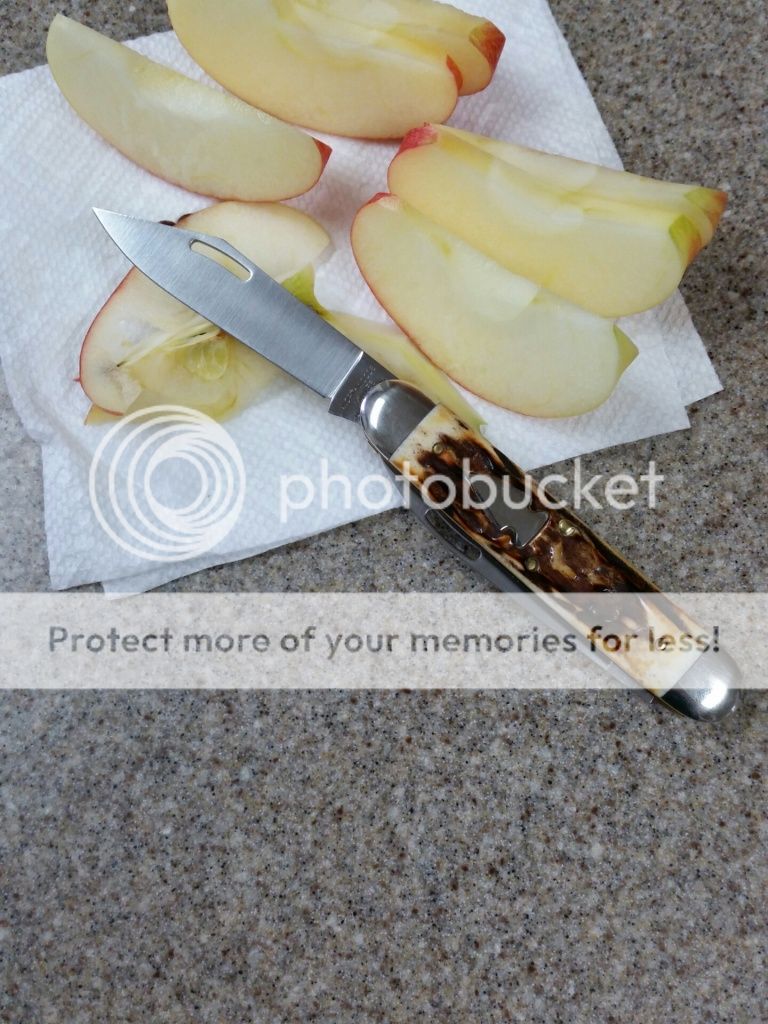 1424651622_zpsf480fef1.jpg