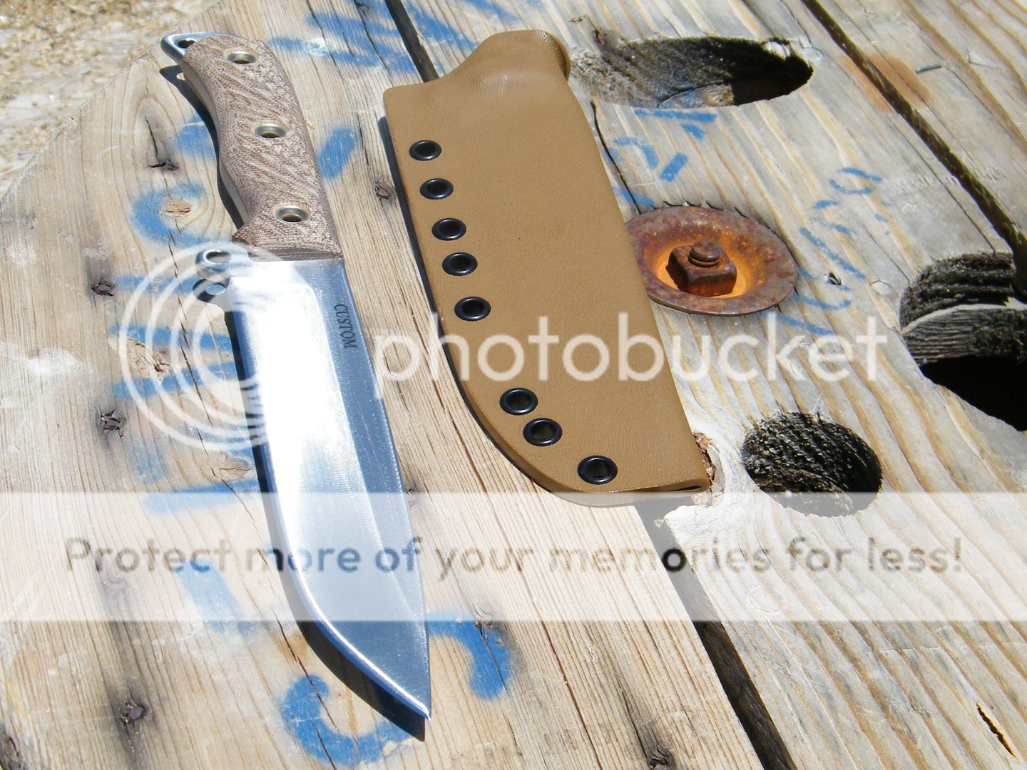 DSCF7209.jpg