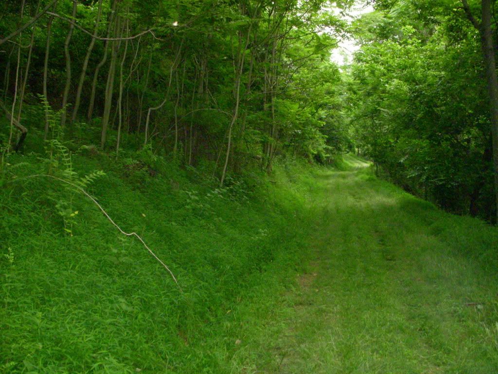 DSCN0868.jpg