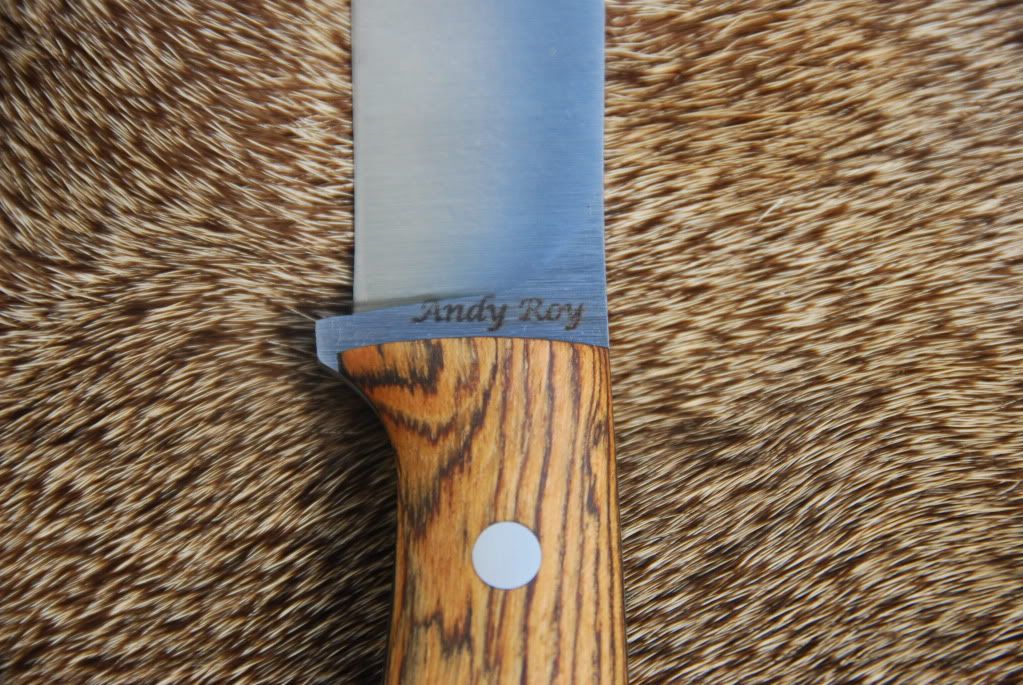 Fiddleback013.jpg