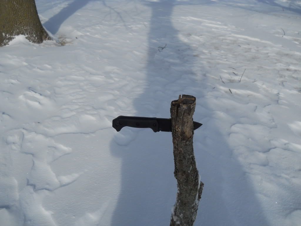 DSCN0377.jpg