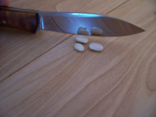 smcan4.jpg