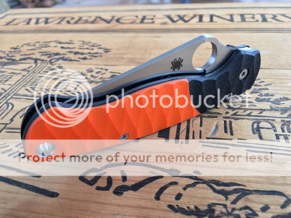 PM2%203.jpg