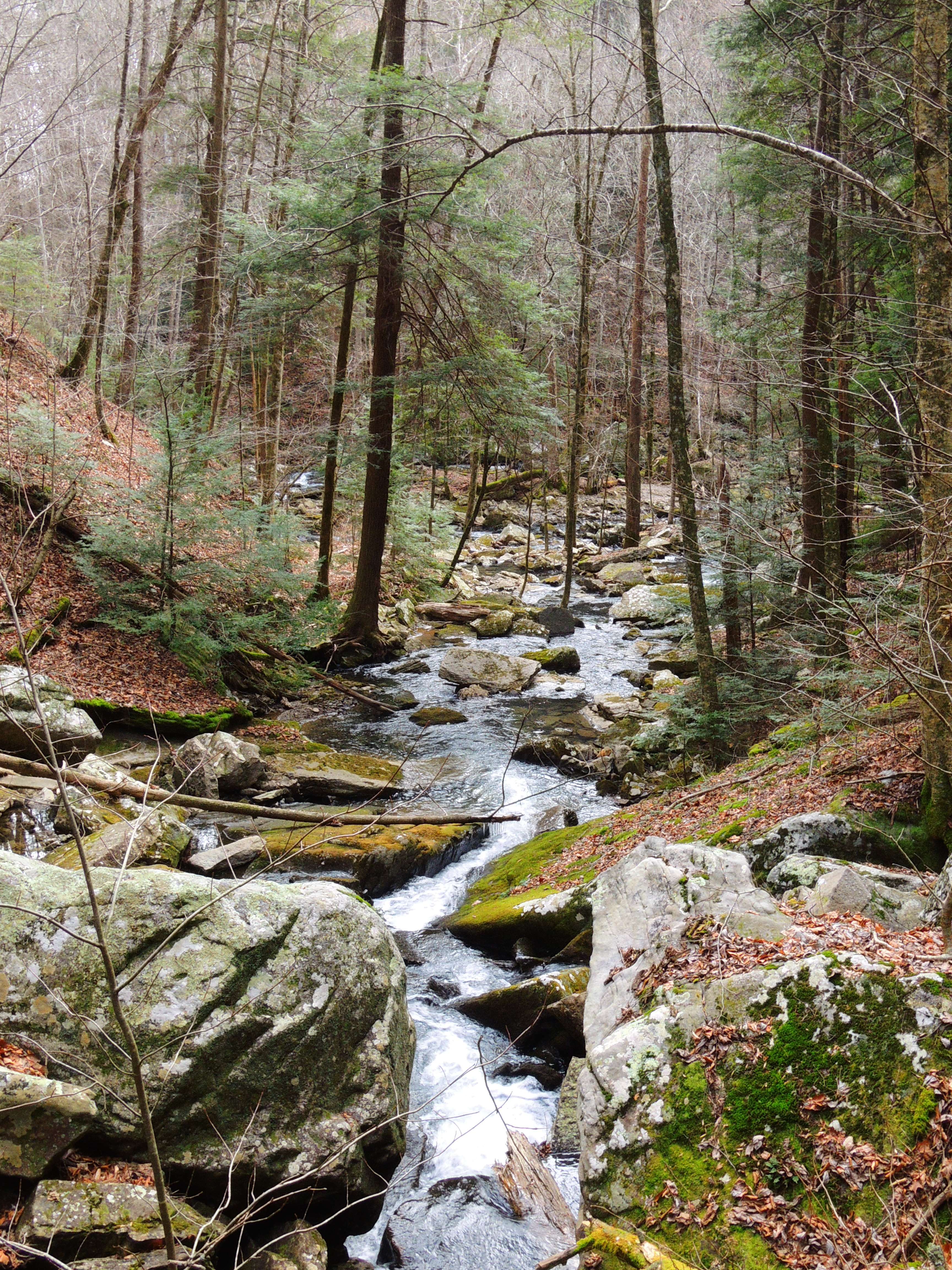 dscn6529.jpg