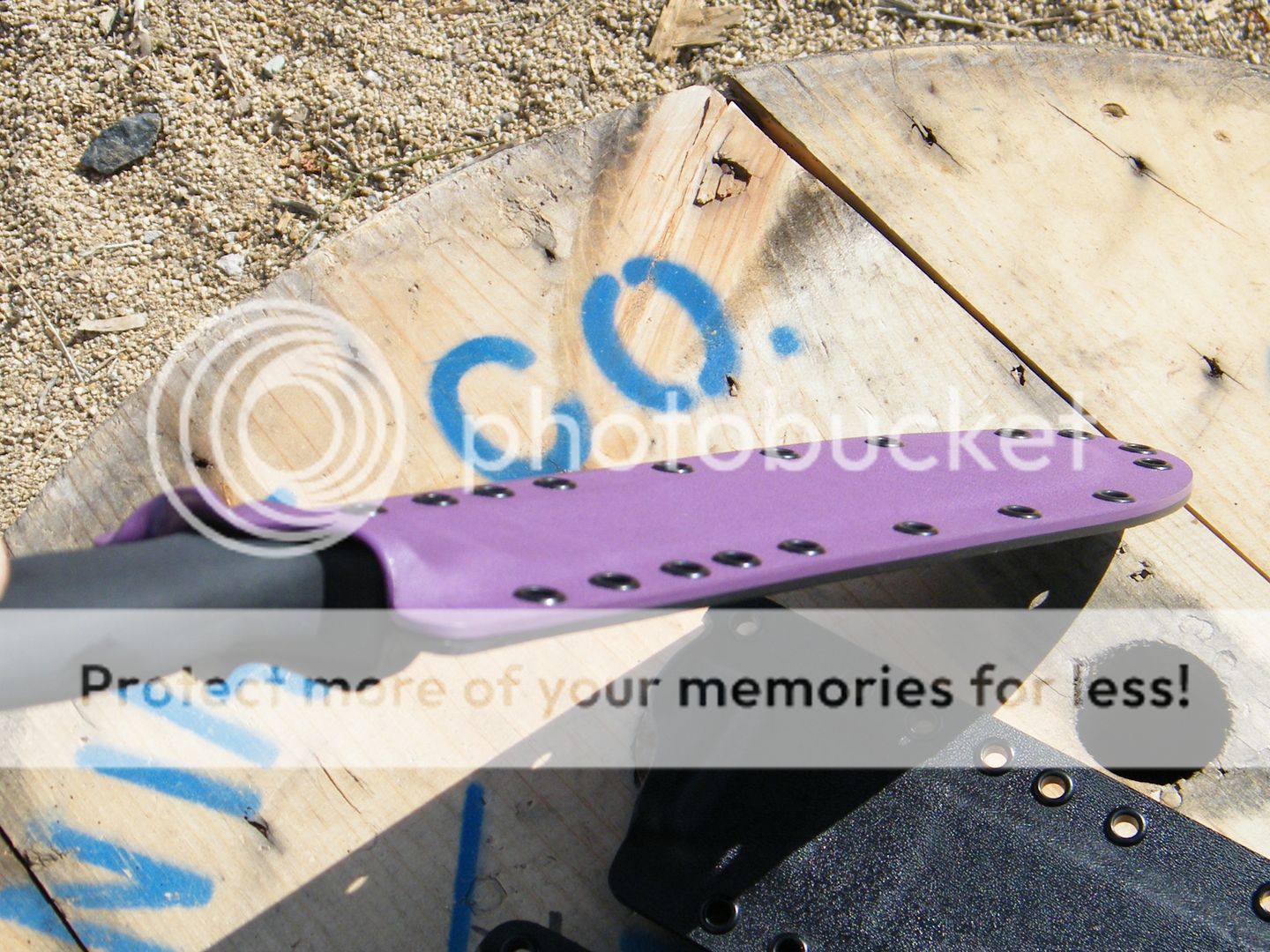 DSCF8116.jpg