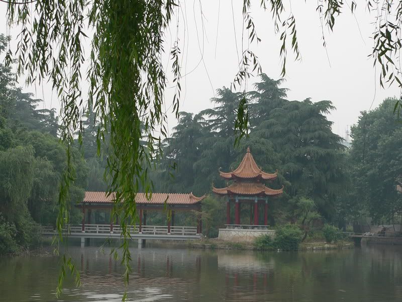 P1400288.jpg