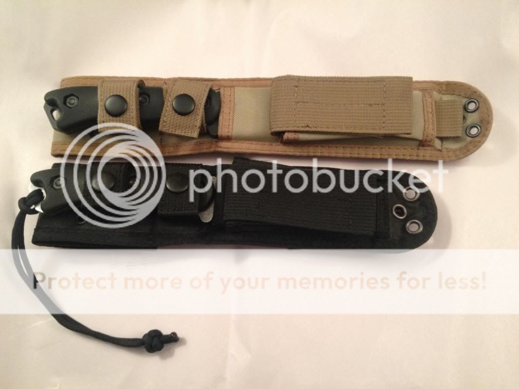 IMG_04272_zps37f23bd4.jpg