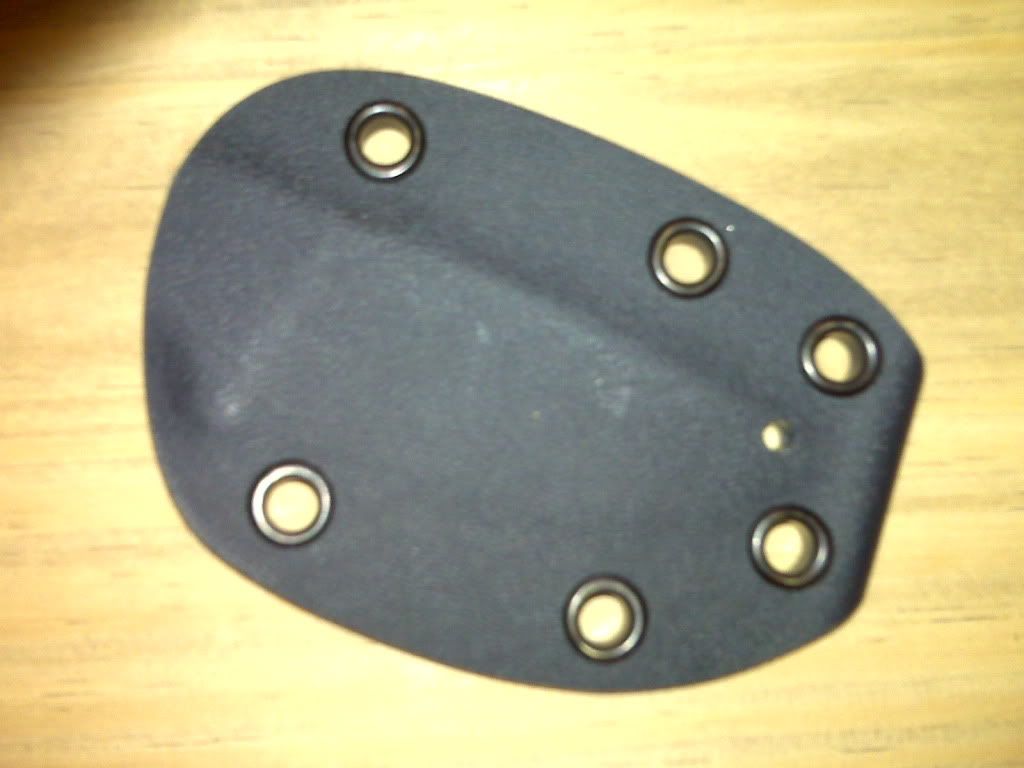 IMG00264.jpg