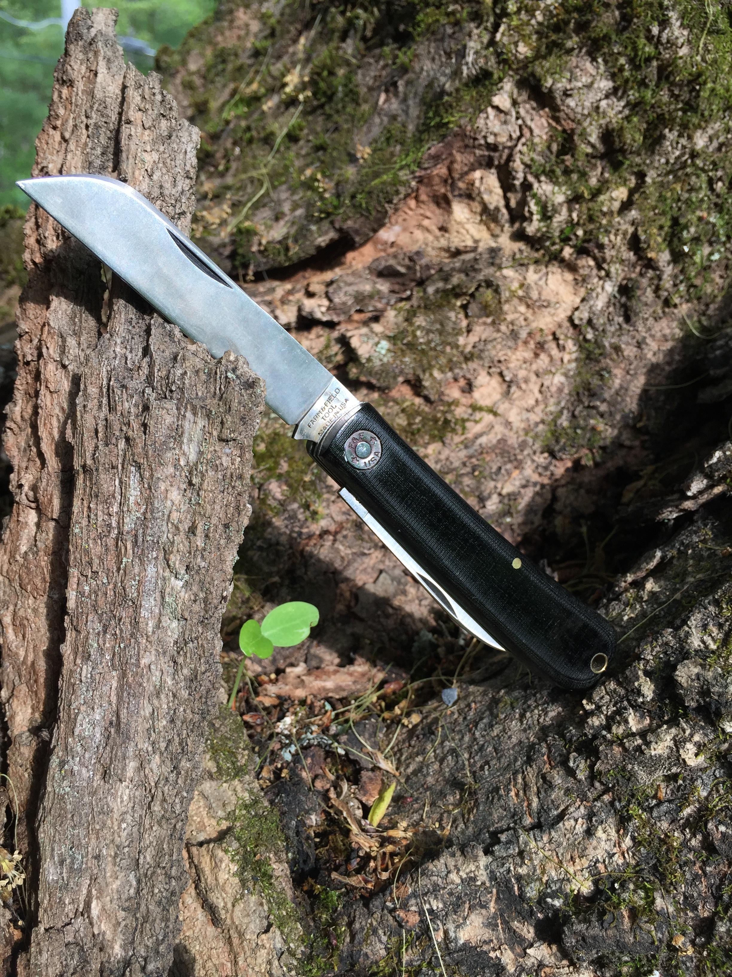 egvLF6n.jpg