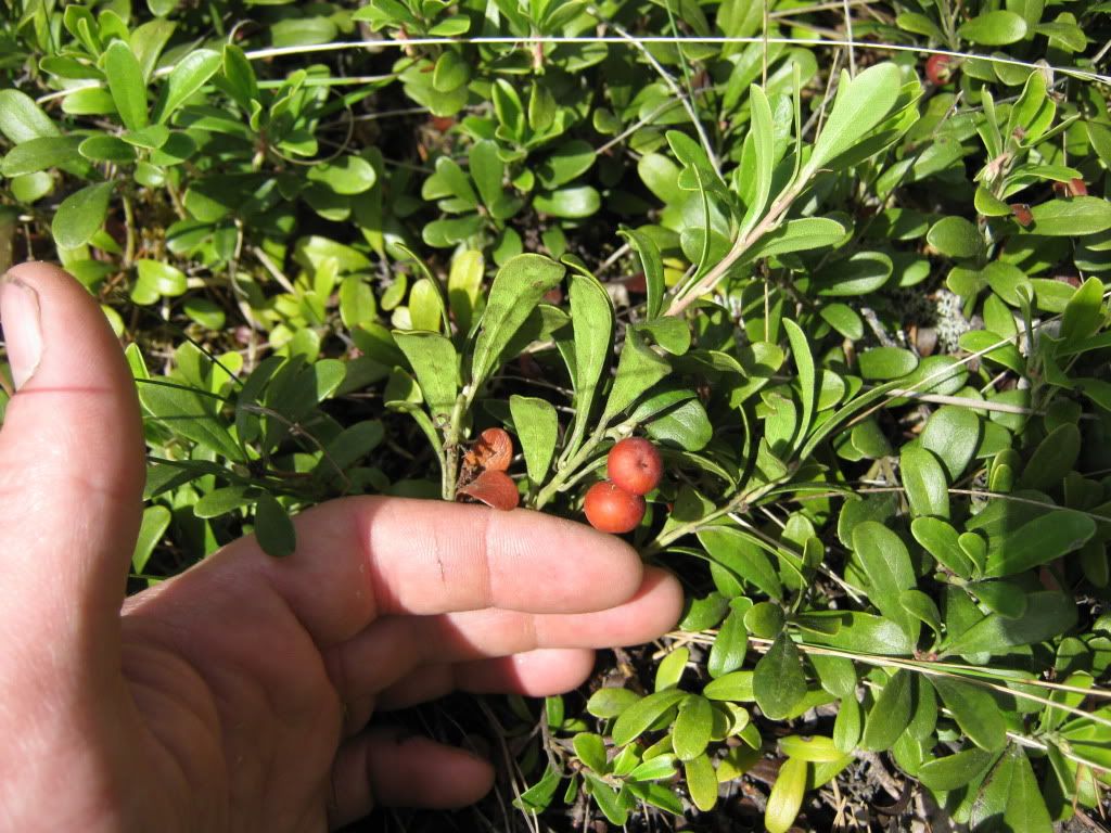 may-23-2010019.jpg