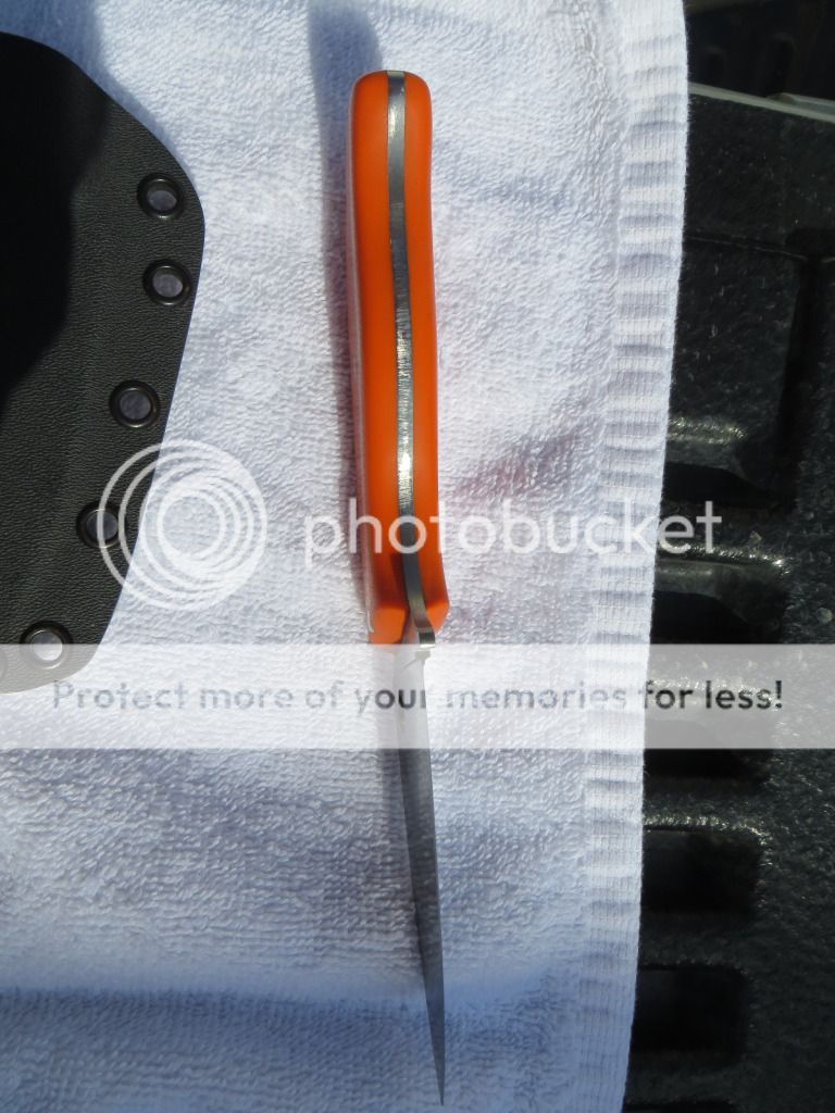 newcanonpictures051.jpg