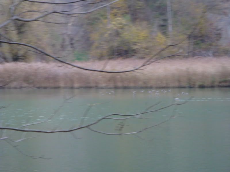 DSC00990.jpg