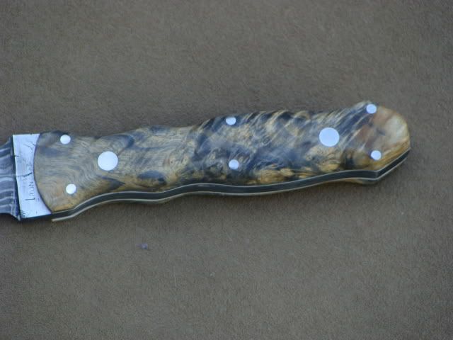 DSC01496.jpg