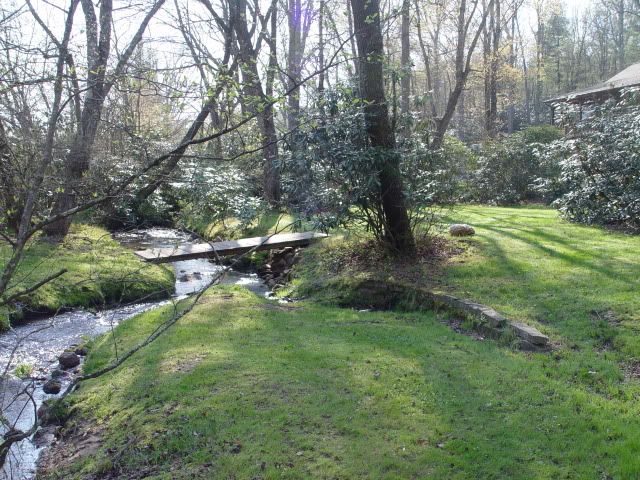 DSC00248.jpg