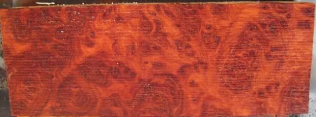 redmallee.jpg
