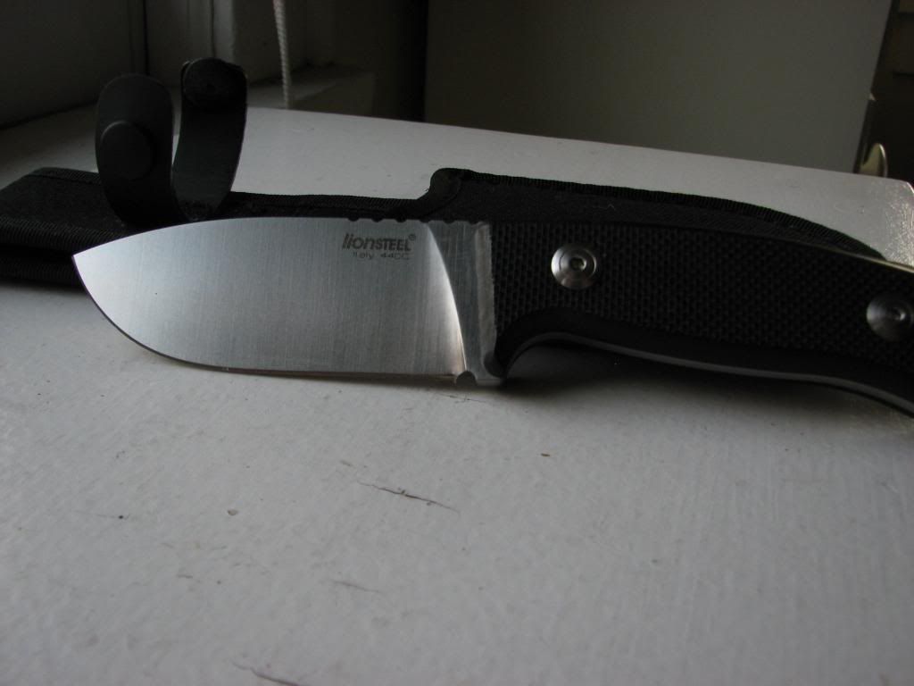 lion_steel001.jpg