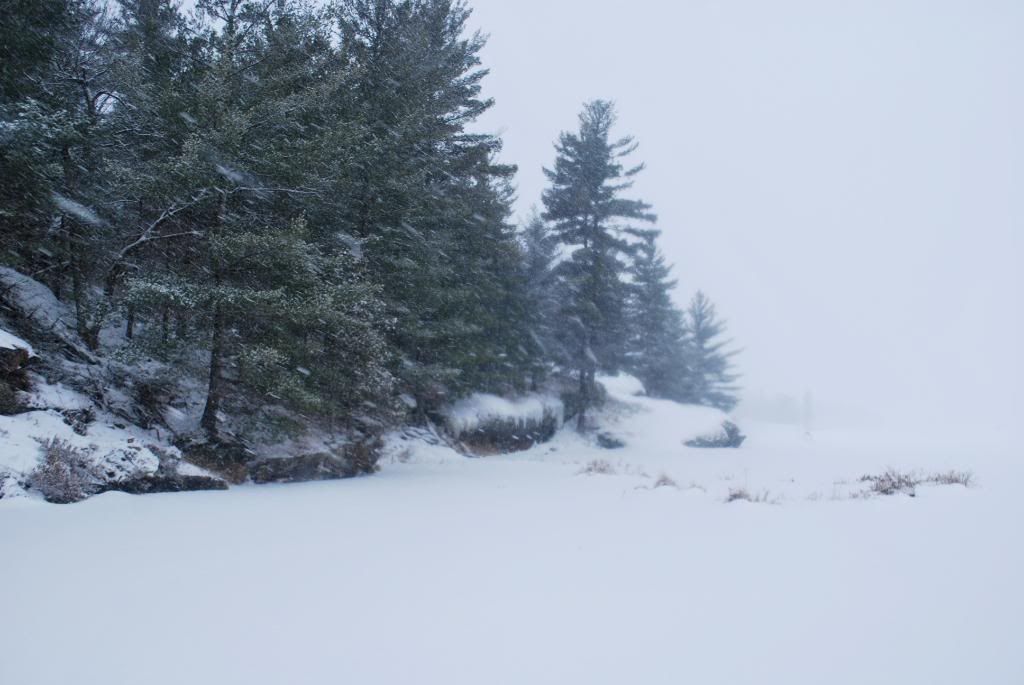 DSC_0099-2.jpg