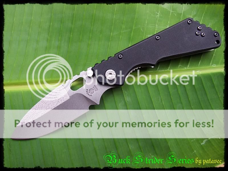 buck003.jpg