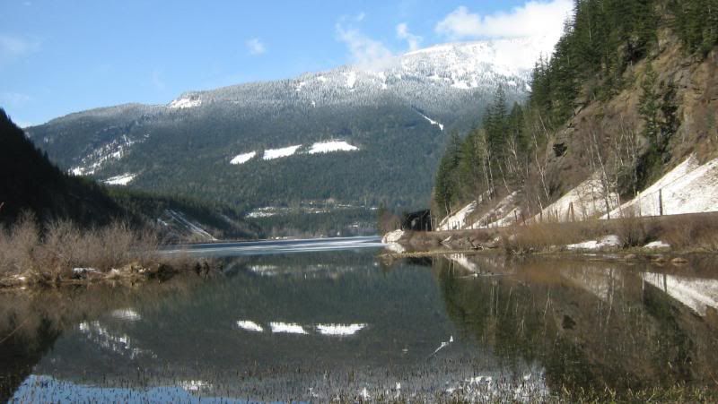 beaver2011001.jpg