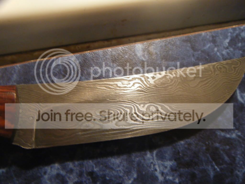 DSCF0369.jpg