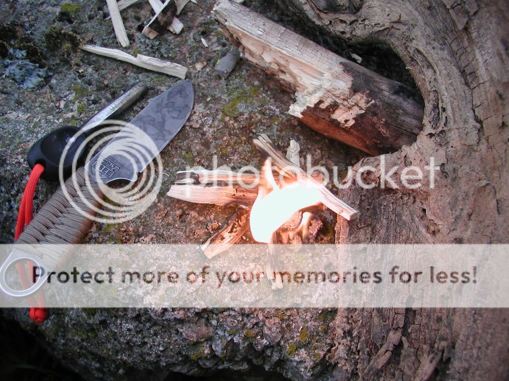 FirePaste2.jpg