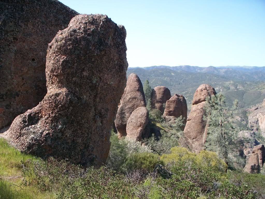 Pinnacles2010037.jpg