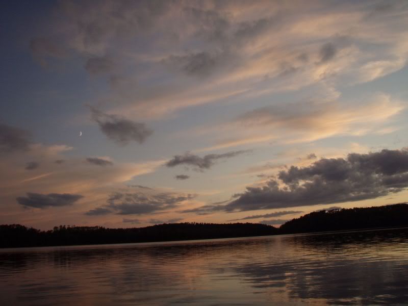 P1010136.jpg