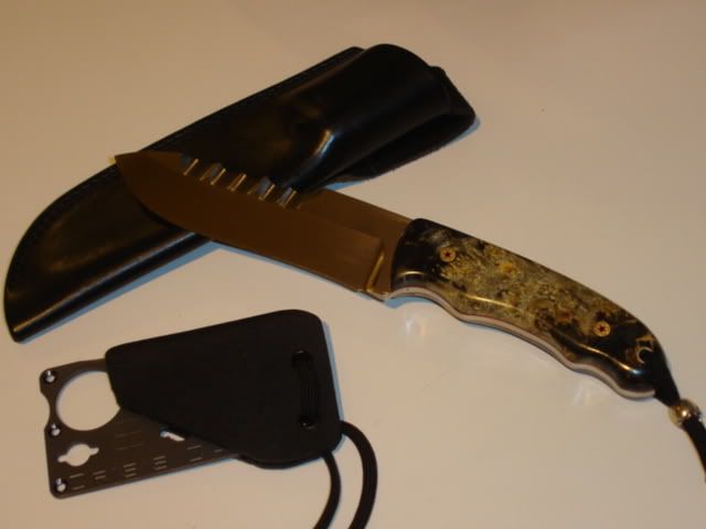 DSC05734JPG.jpg