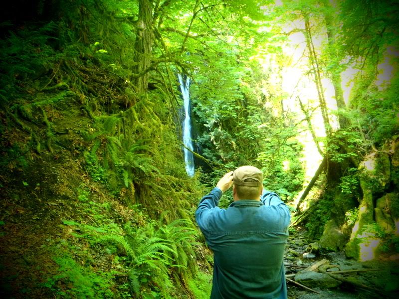 Goldstream2012003.jpg