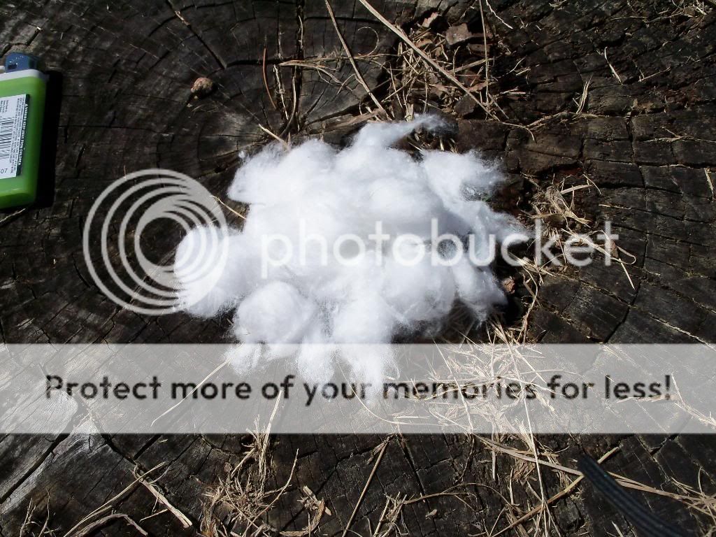 100_4100.jpg
