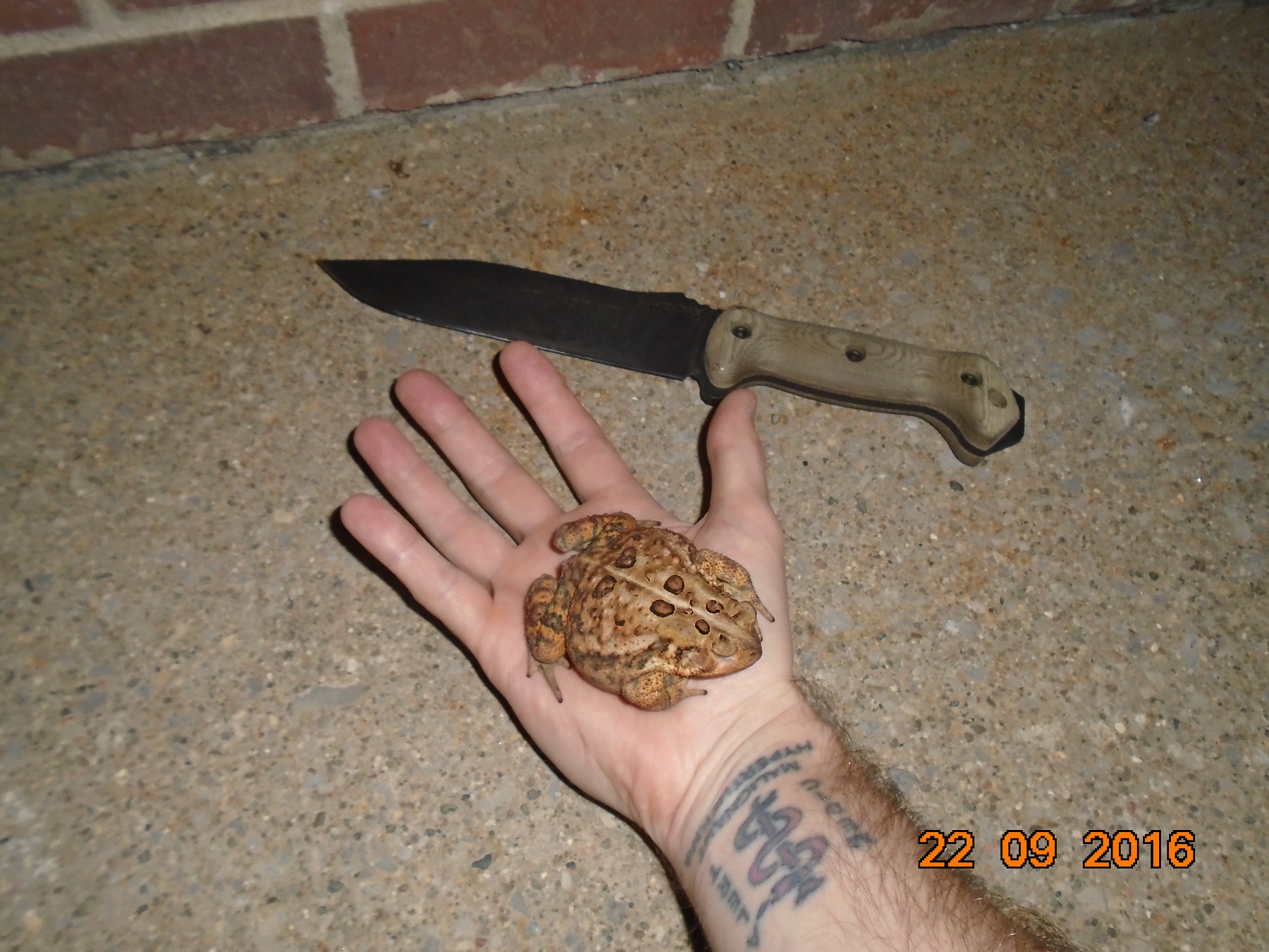 E8iIHez.jpg