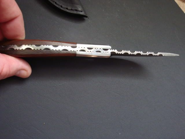 DSC00511.jpg
