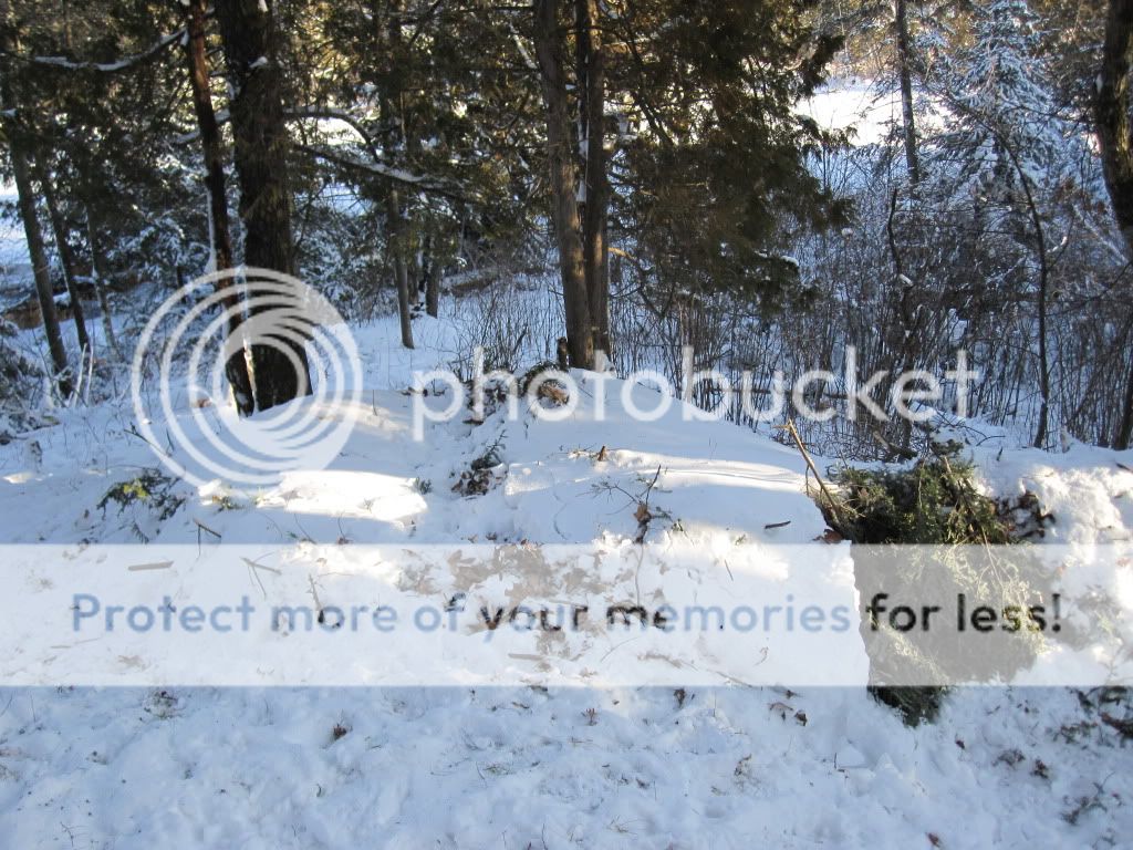 decemberpics021.jpg
