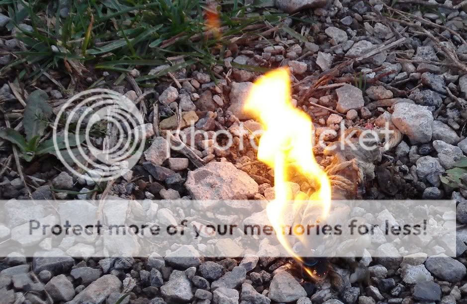 burnswell.jpg