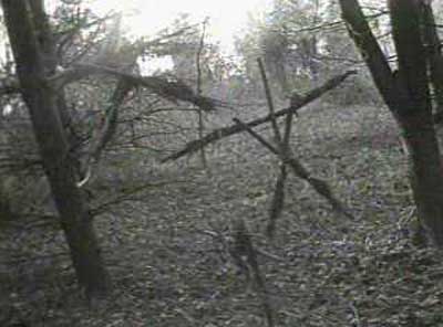blair-witch.jpg
