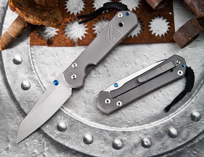 sebenza_ins_logo_01.jpg