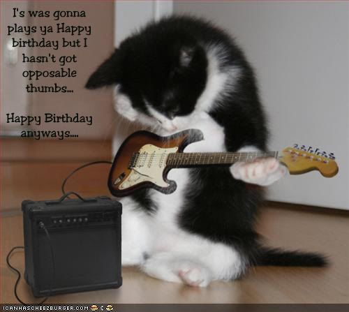 bdaycat2copy.jpg