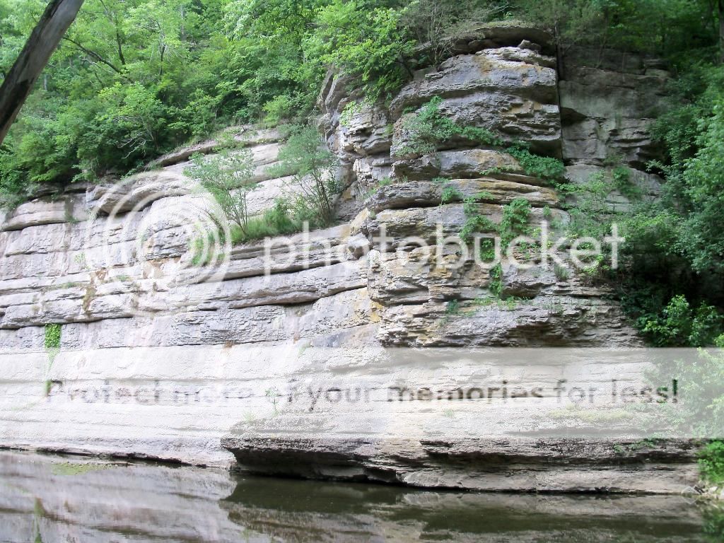 100_5285.jpg