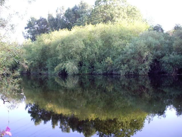 IMGP1291.jpg