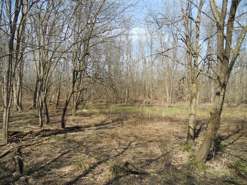 027-4.jpg