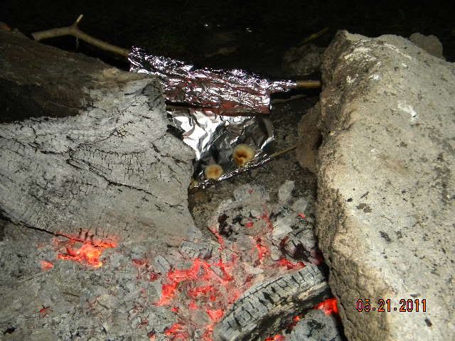 DSCN3682.jpg