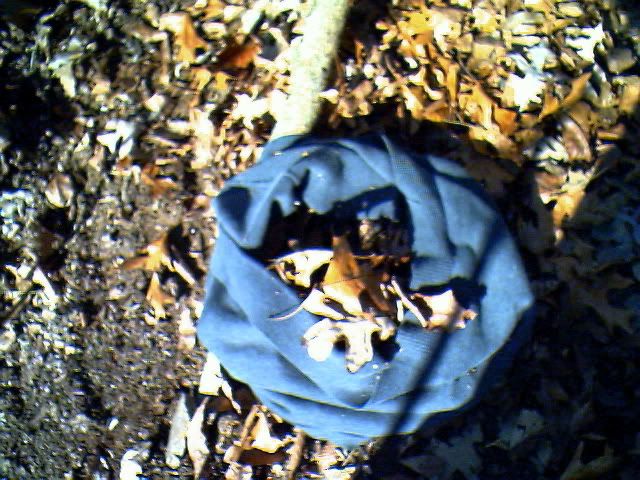 IMG00945.jpg
