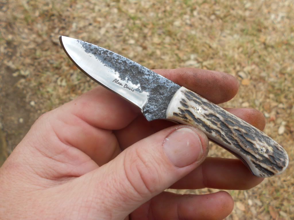 2stagmiserywhipneck070.jpg