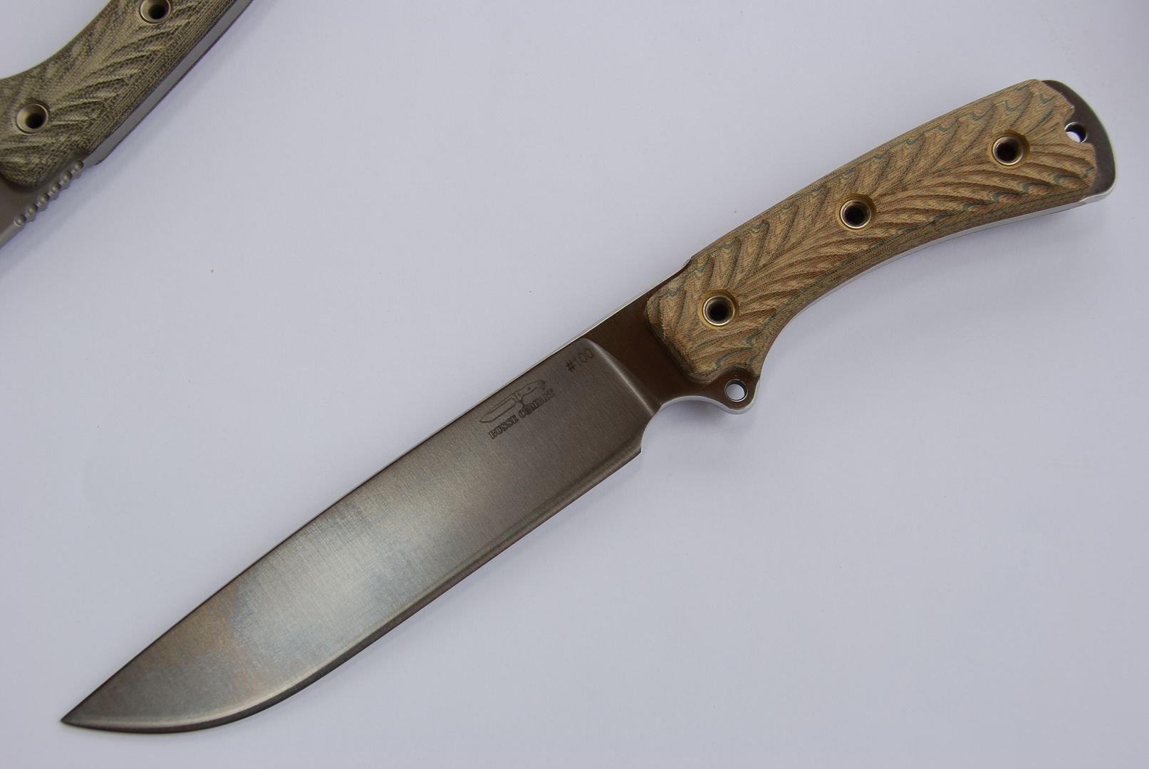 Sar67003.jpg